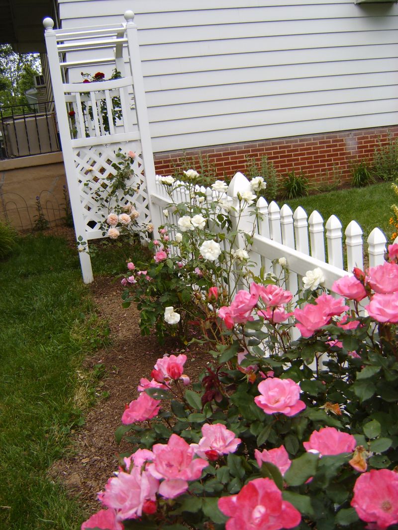 Garden Ideas Along Fence Native Home Garden Design